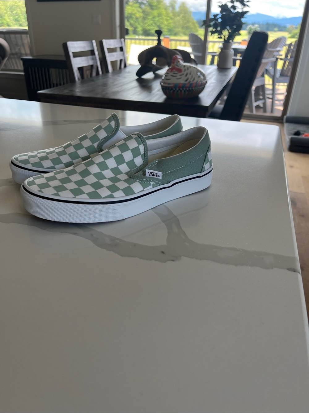 Vans Checkered Sneakers